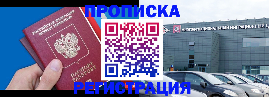 прописка для школы в Шлиссельбурге